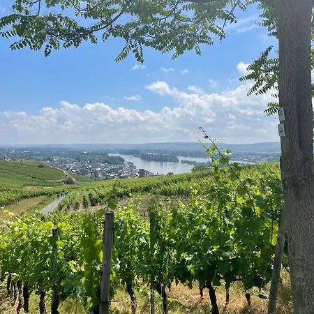 Good Times In St. Goar *