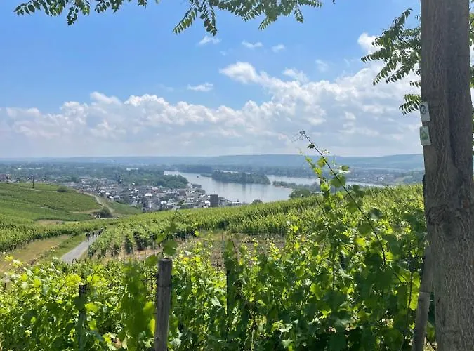 Good Times In St. Goar *